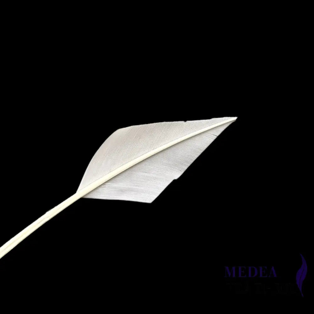Arrowhead Turkey Quill Feather - #02 white