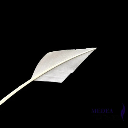 Arrowhead Turkey Quill Feather - #02 white