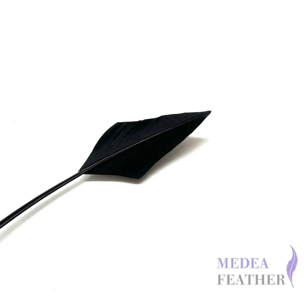 Arrowhead Turkey Quill Feather - #03 black