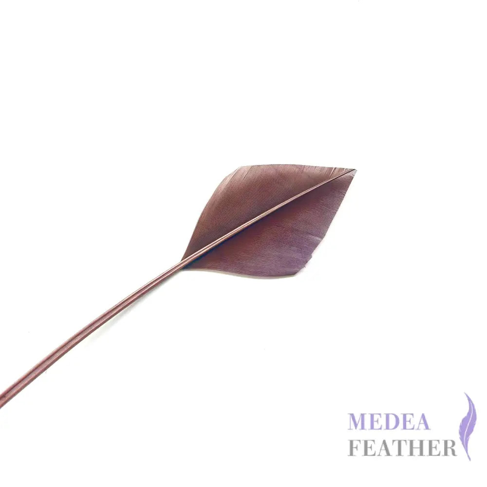 Arrowhead Turkey Quill Feather - #06 Brunette