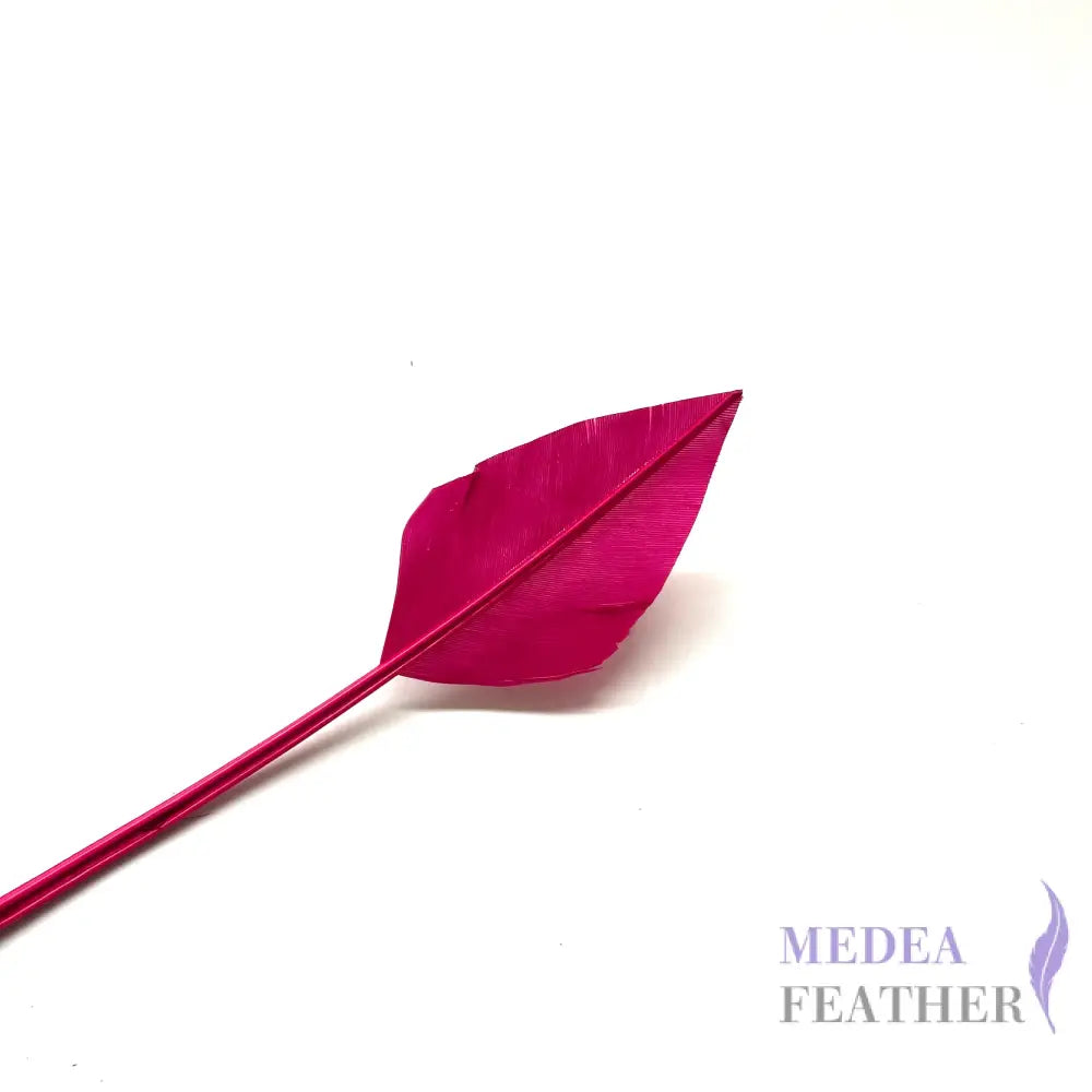 Arrowhead Turkey Quill Feather - #18 Baton rouge