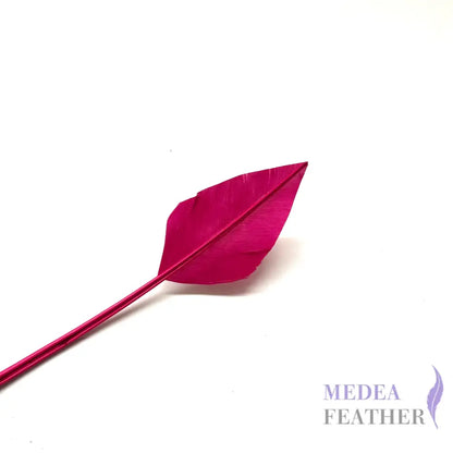 Arrowhead Turkey Quill Feather - #18 Baton rouge