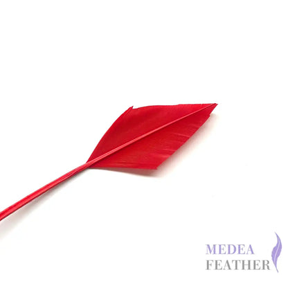 Arrowhead Turkey Quill Feather - #22 red