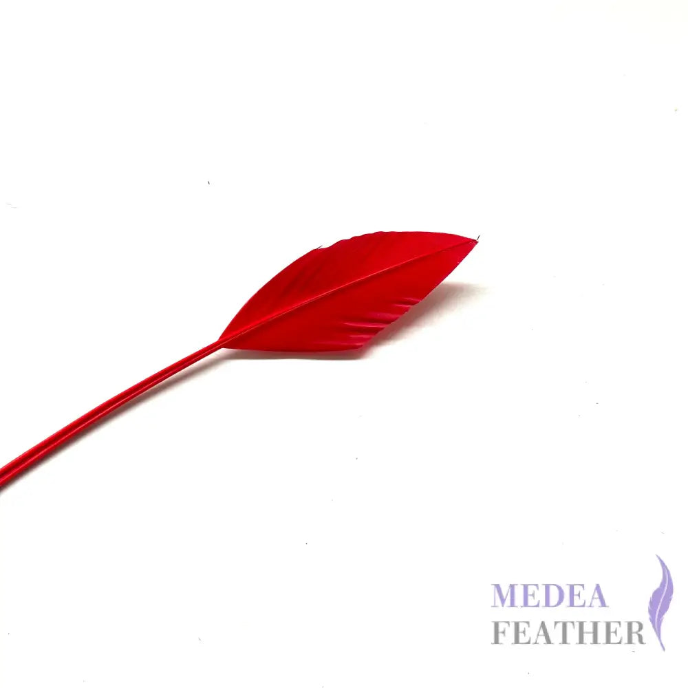 Arrowhead Turkey Quill Feather - #23 tango red
