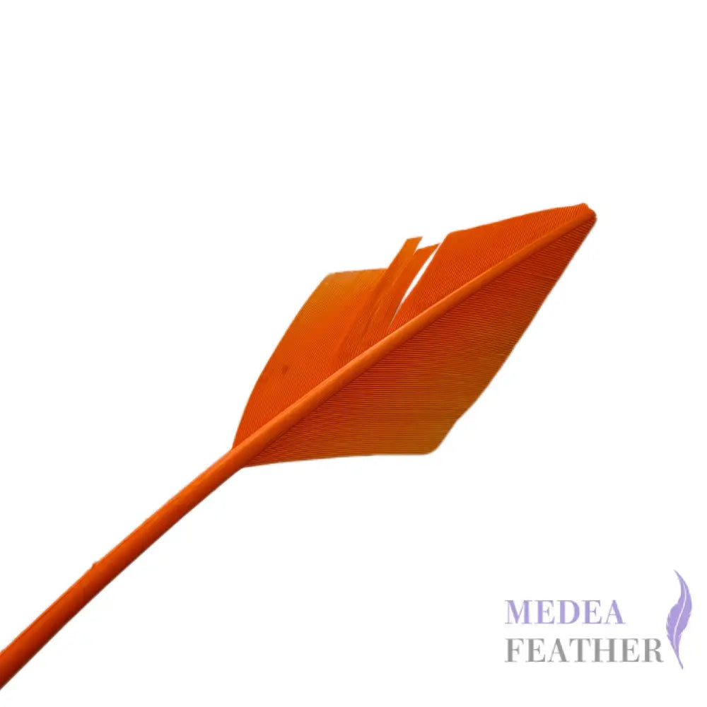 Arrowhead Turkey Quill Feather - #24 carrot