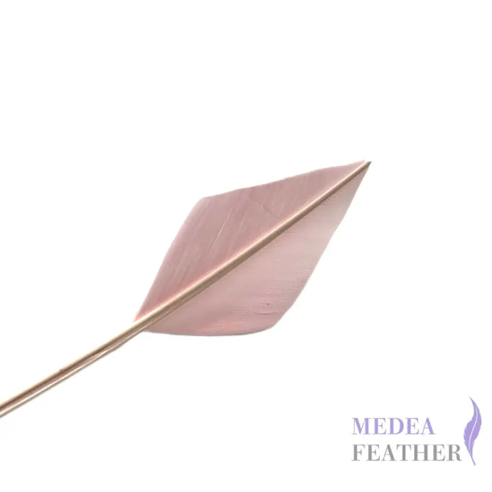 Arrowhead Turkey Quill Feather - #47 baby pink
