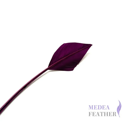 Arrowhead Turkey Quill Feather - #60 dark purple