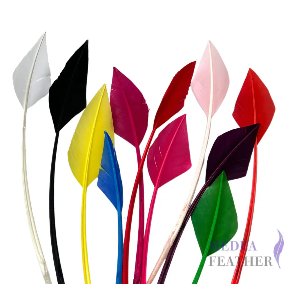 Arrowhead Turkey Quill Feather