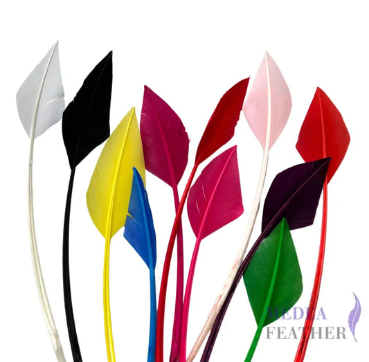 Arrowhead Turkey Quill Feather