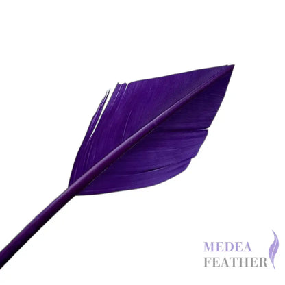 Arrowhead Turkey Quill Feather - #63 purple