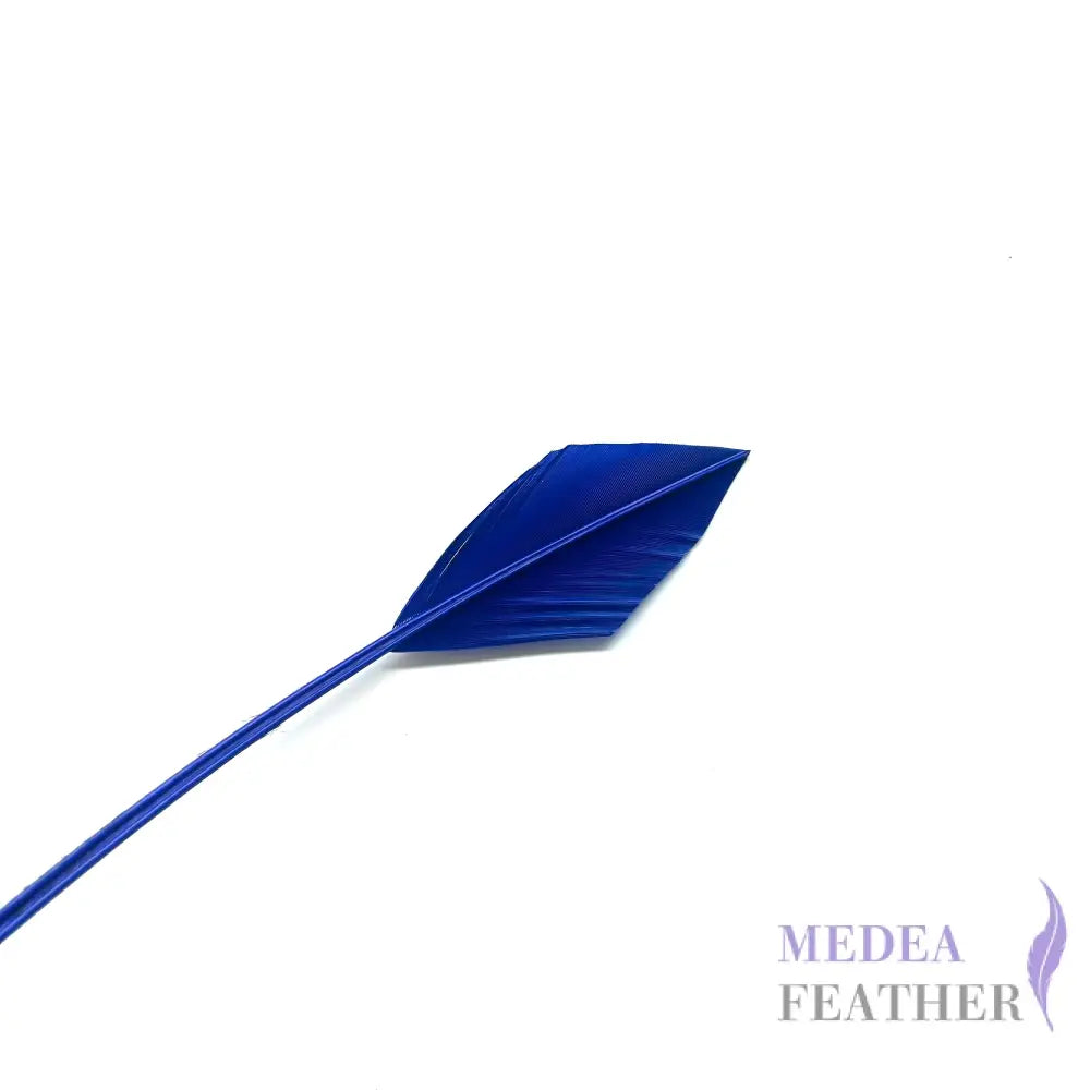 Arrowhead Turkey Quill Feather - #67 royal blue