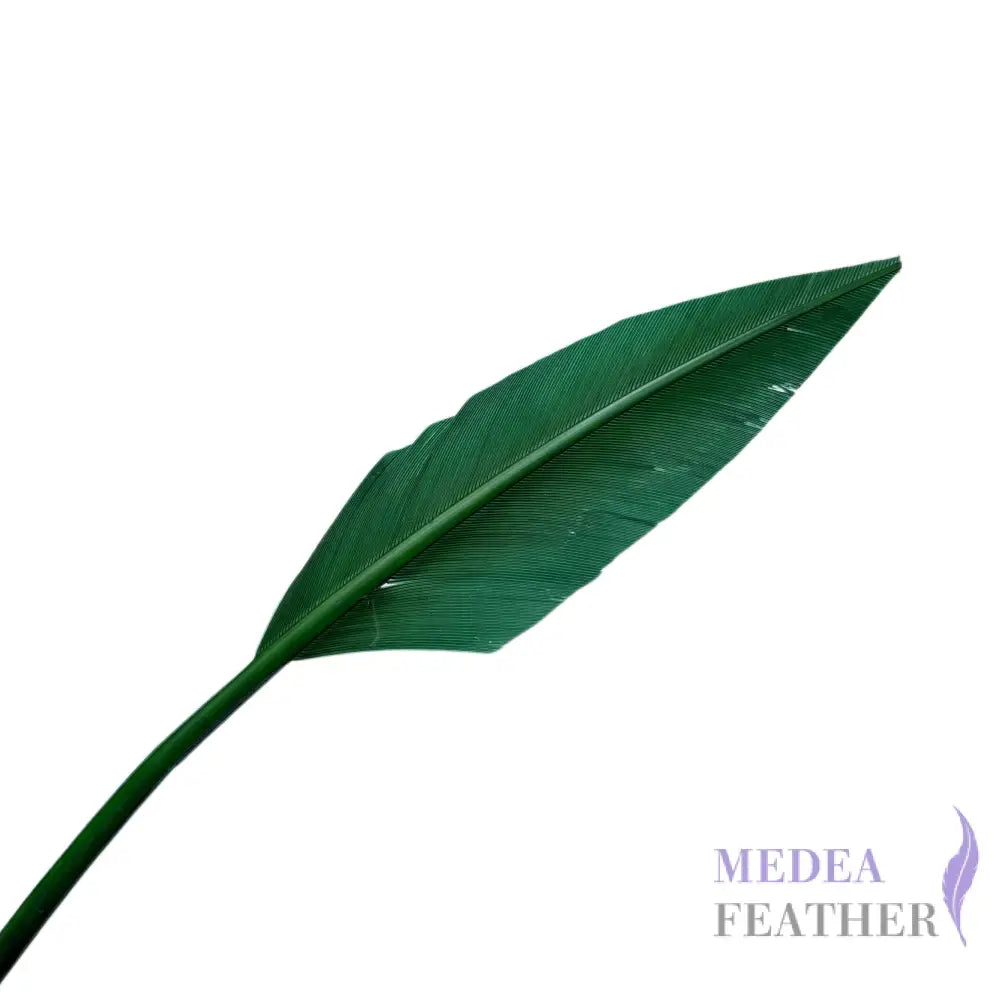 Arrowhead Turkey Quill Feather - #69 garden green
