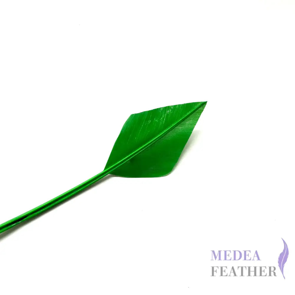 Arrowhead Turkey Quill Feather - #71 emerald green
