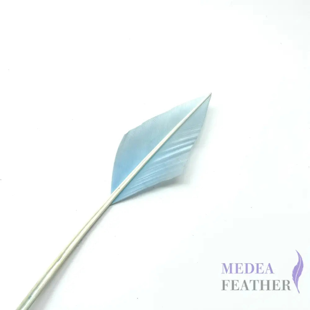 Arrowhead Turkey Quill Feather - #80 baby blue