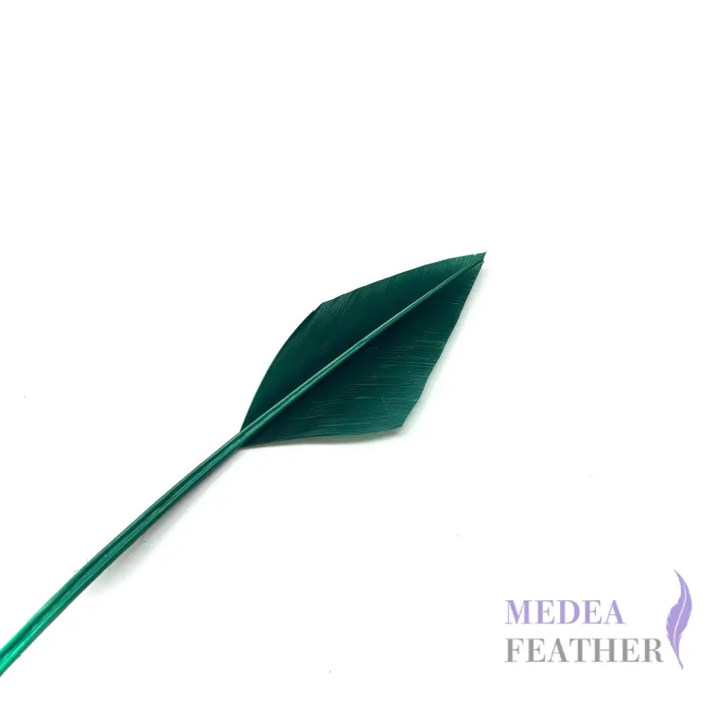 Arrowhead Turkey Quill Feather - #96 dark green
