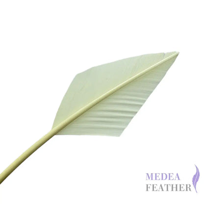 Arrowhead Turkey Quill Feather - limited-light yellow