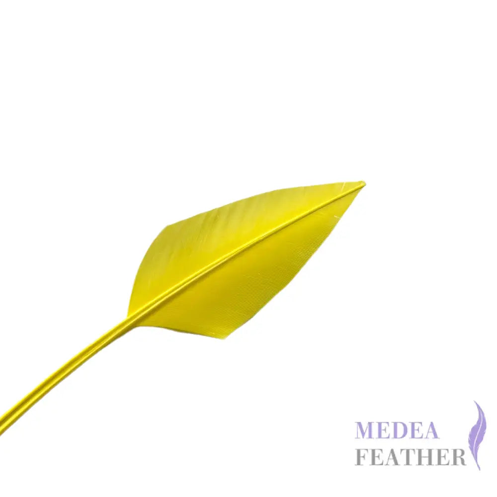 Arrowhead Turkey Quill Feather - Yellow