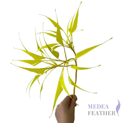 ’Bamboo Whisper’ Goose Feather Mount DS26082603 - Custom-please add text below