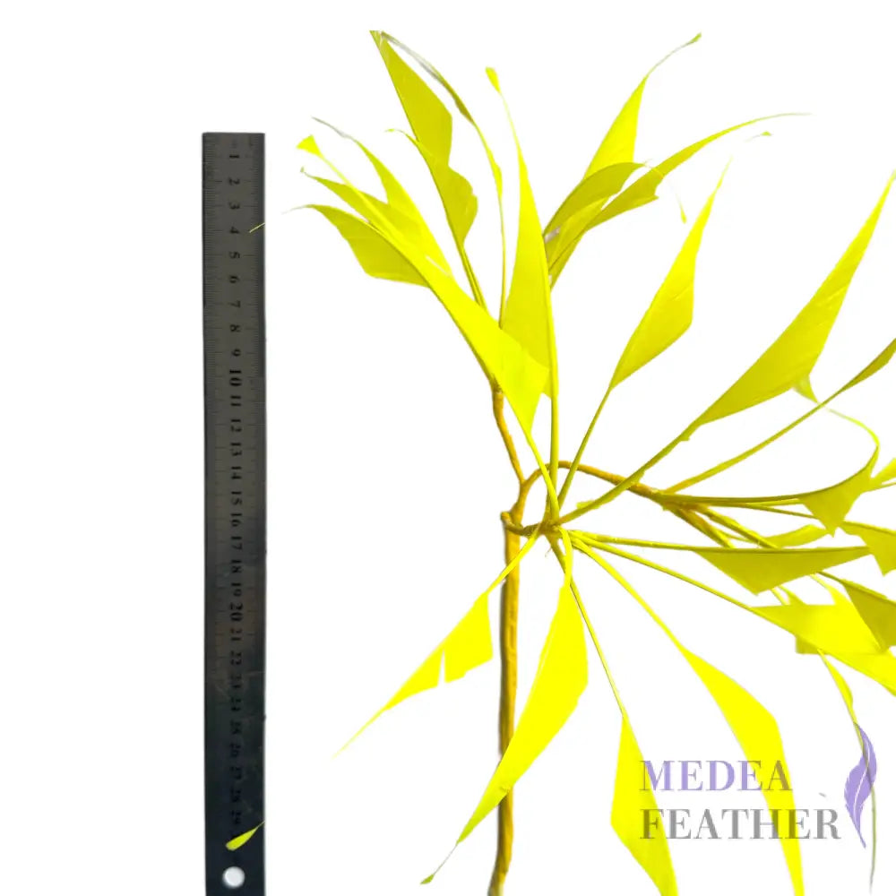 ’Bamboo Whisper’ Goose Feather Mount DS26082603 - Custom-please add text below