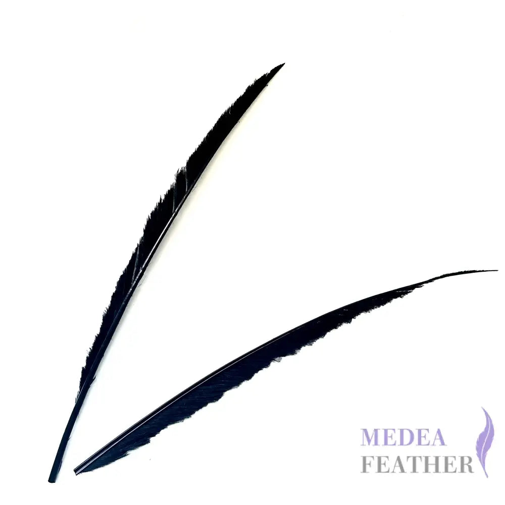 Black One-side Trimmed Ostrich Feather 40cm