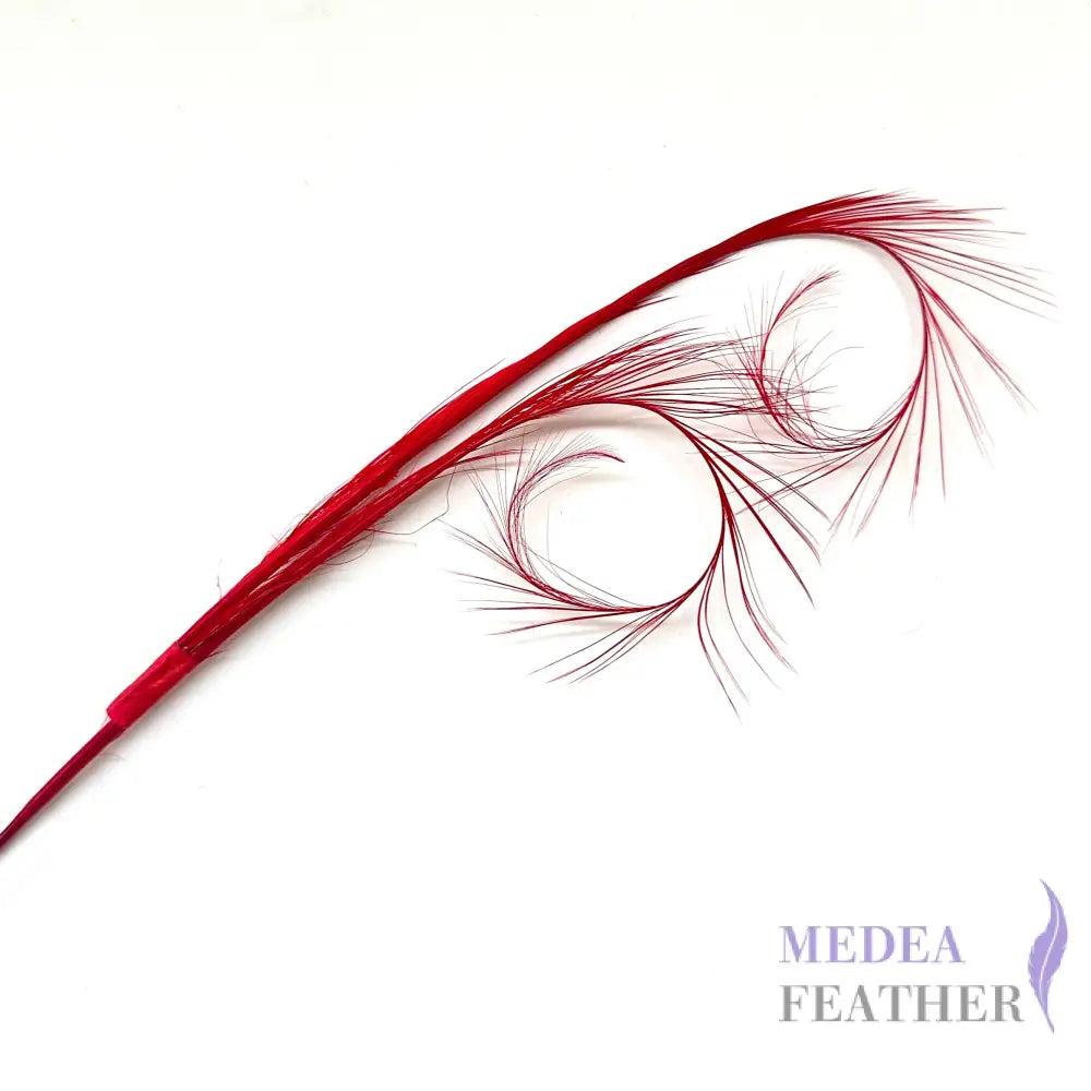 Burnt Curled Ringneck Pheasant Feather SF027 #22 red (2pcs/bundle)