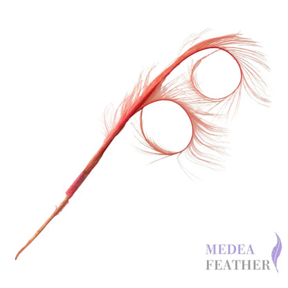 Burnt Curled Ringneck Pheasant Feather SF027 #27 coral pink (2pcs/bundle)