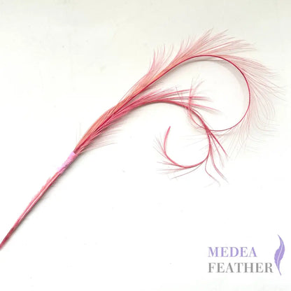 Burnt Curled Ringneck Pheasant Feather SF027 #51 pink (2pcs/bundle)
