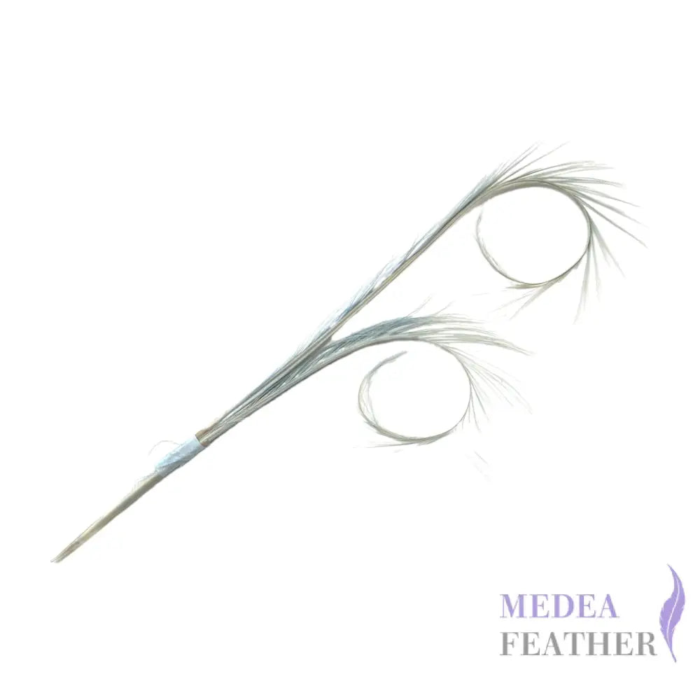 Burnt Curled Ringneck Pheasant Feather SF027 #80 baby blue (2pcs/bundle)