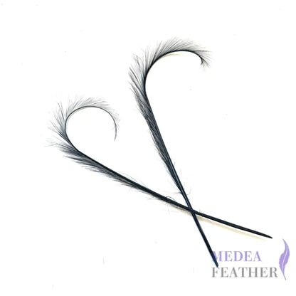 Burnt Curled Ringneck Pheasant Feather 1 Piece SF027 Navy