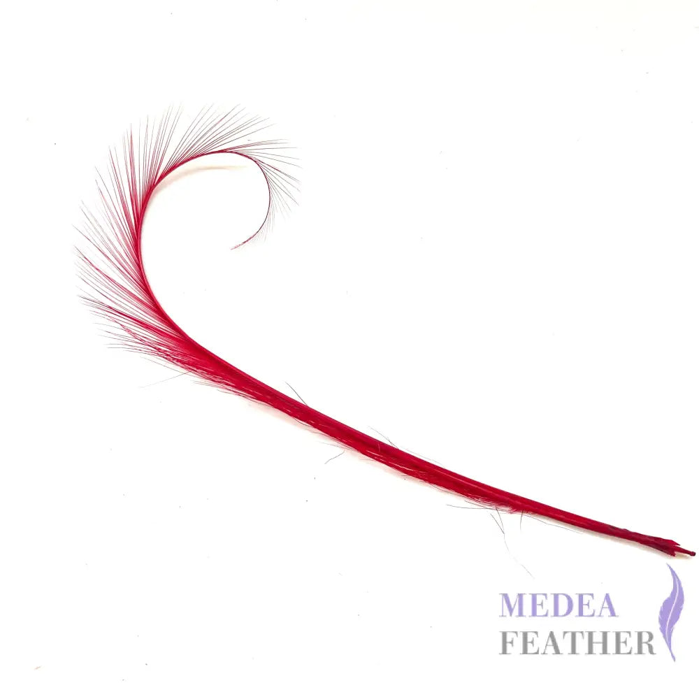 Burnt Curled Ringneck Pheasant Feather 1 Piece SF027 Red