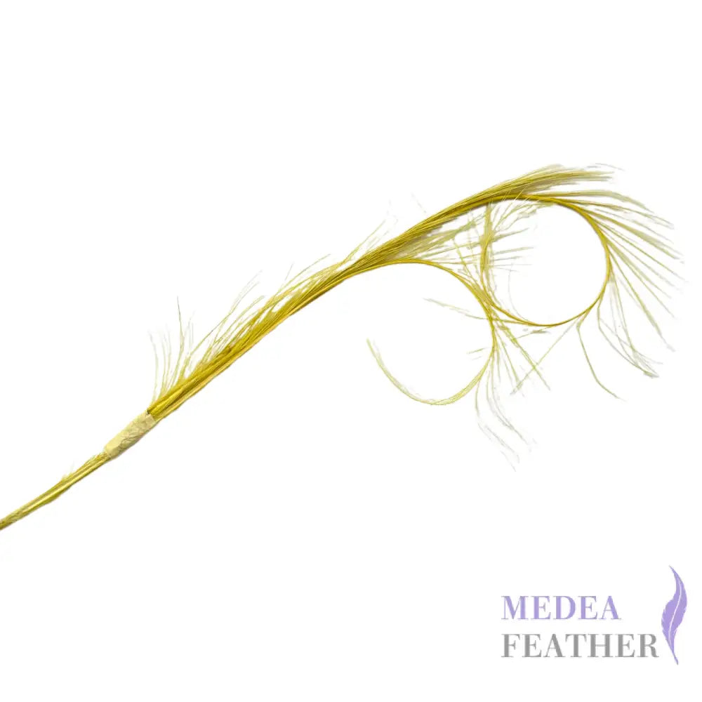 Burnt Curled Ringneck Pheasant Feather SF027 yellow (2pcs/bundle)
