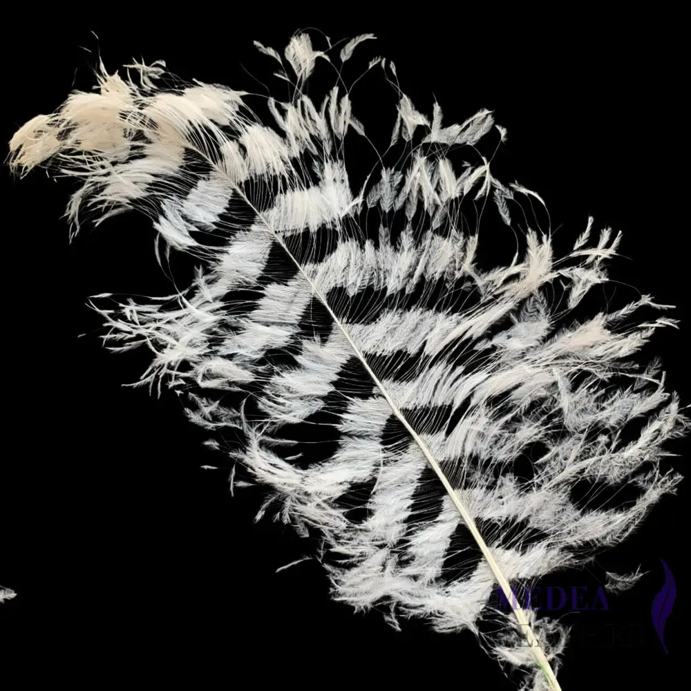 Burnt Ostrich Feather Plume For Millinery Royal Ascot Kentucky Derby 55-60cm - #01 ivory