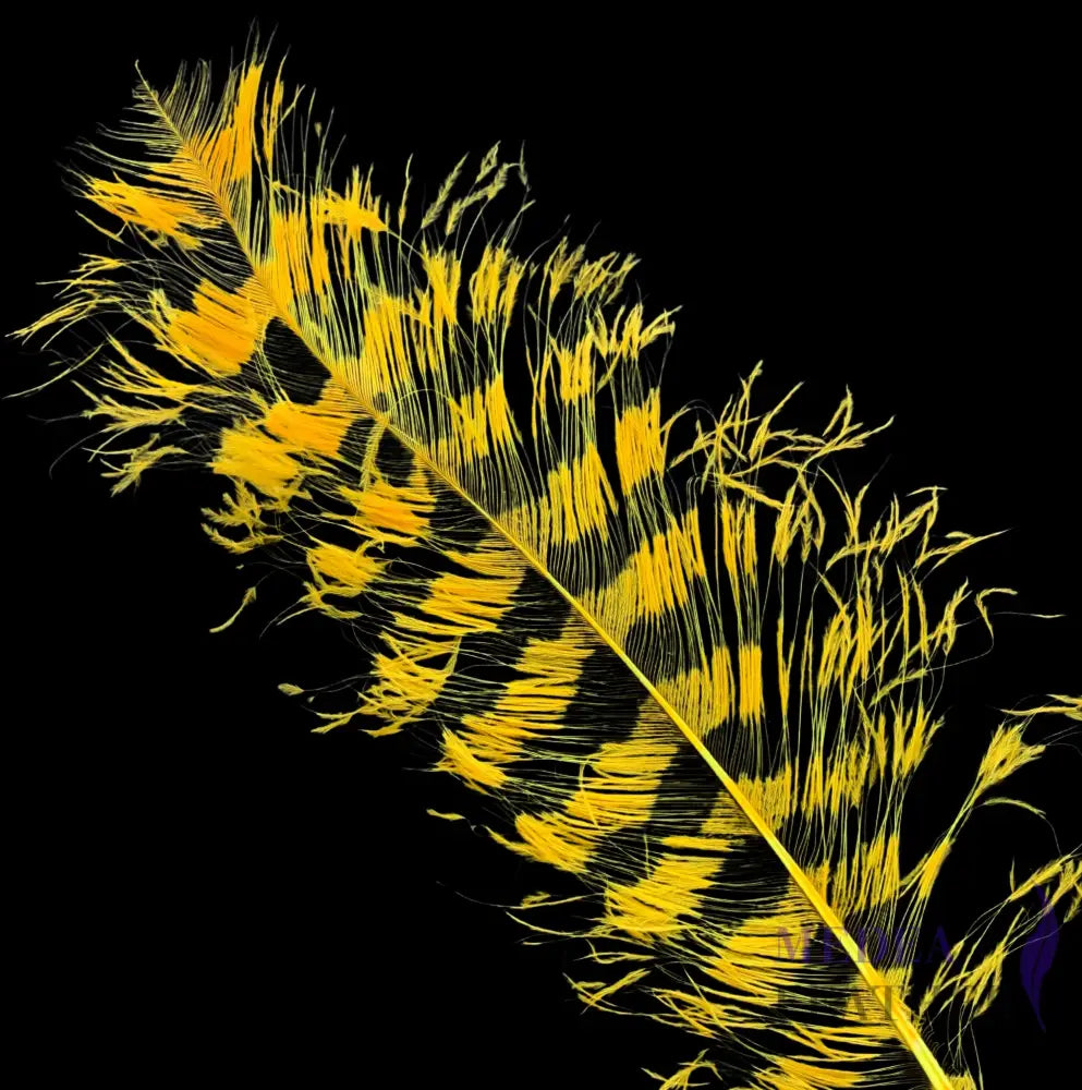 Burnt Ostrich Feather Plume For Millinery Royal Ascot Kentucky Derby 55-60cm - #58 Yellow