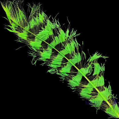Burnt Ostrich Feather Plume For Millinery Royal Ascot Kentucky Derby 55-60cm - #71 Emerald