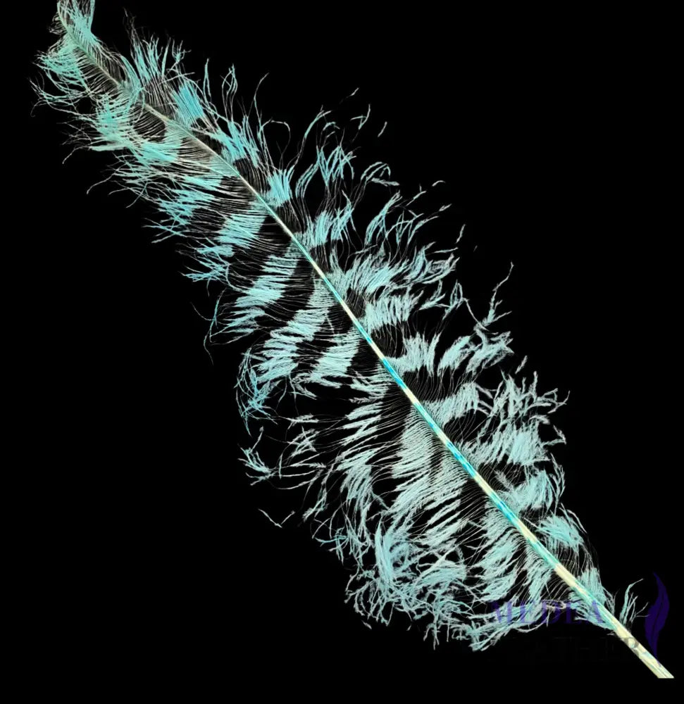 Burnt Ostrich Feather Plume For Millinery Royal Ascot Kentucky Derby 55-60cm - #75 Light turquoise