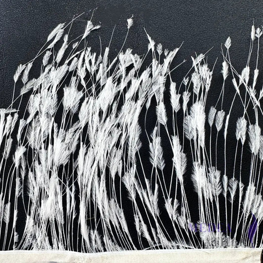 Burnt Ostrich Feather Trim #02 white / 0.5 meter