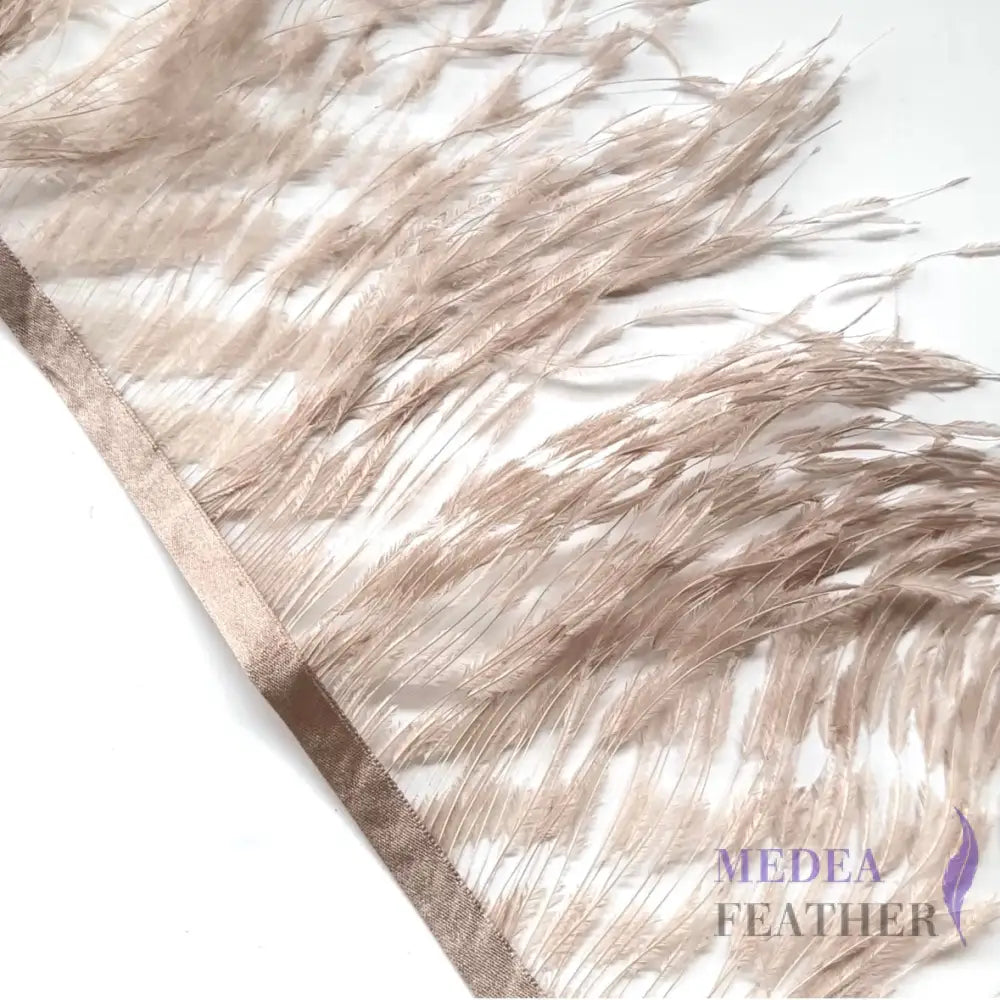Burnt Ostrich Feather Trim #07 pink tint / 0.5 meter