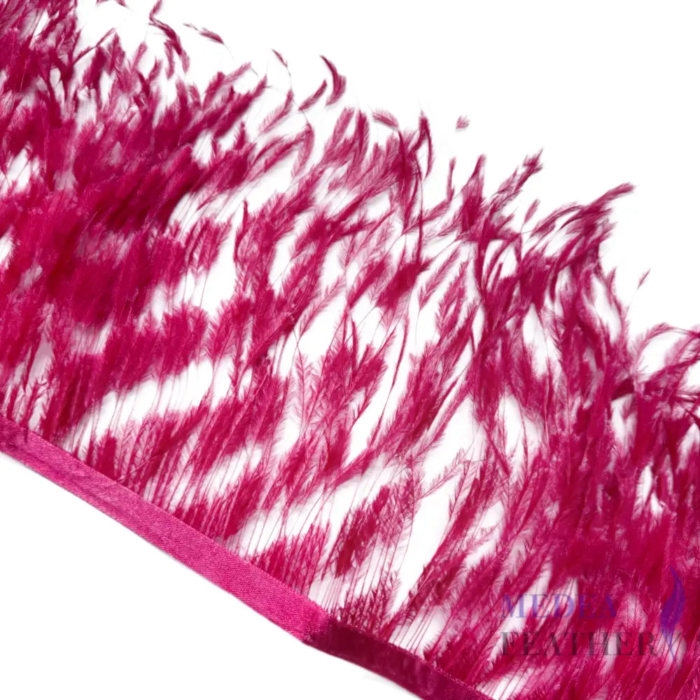 Burnt Ostrich Feather Trim #21 Raspberry / 0.5 meter