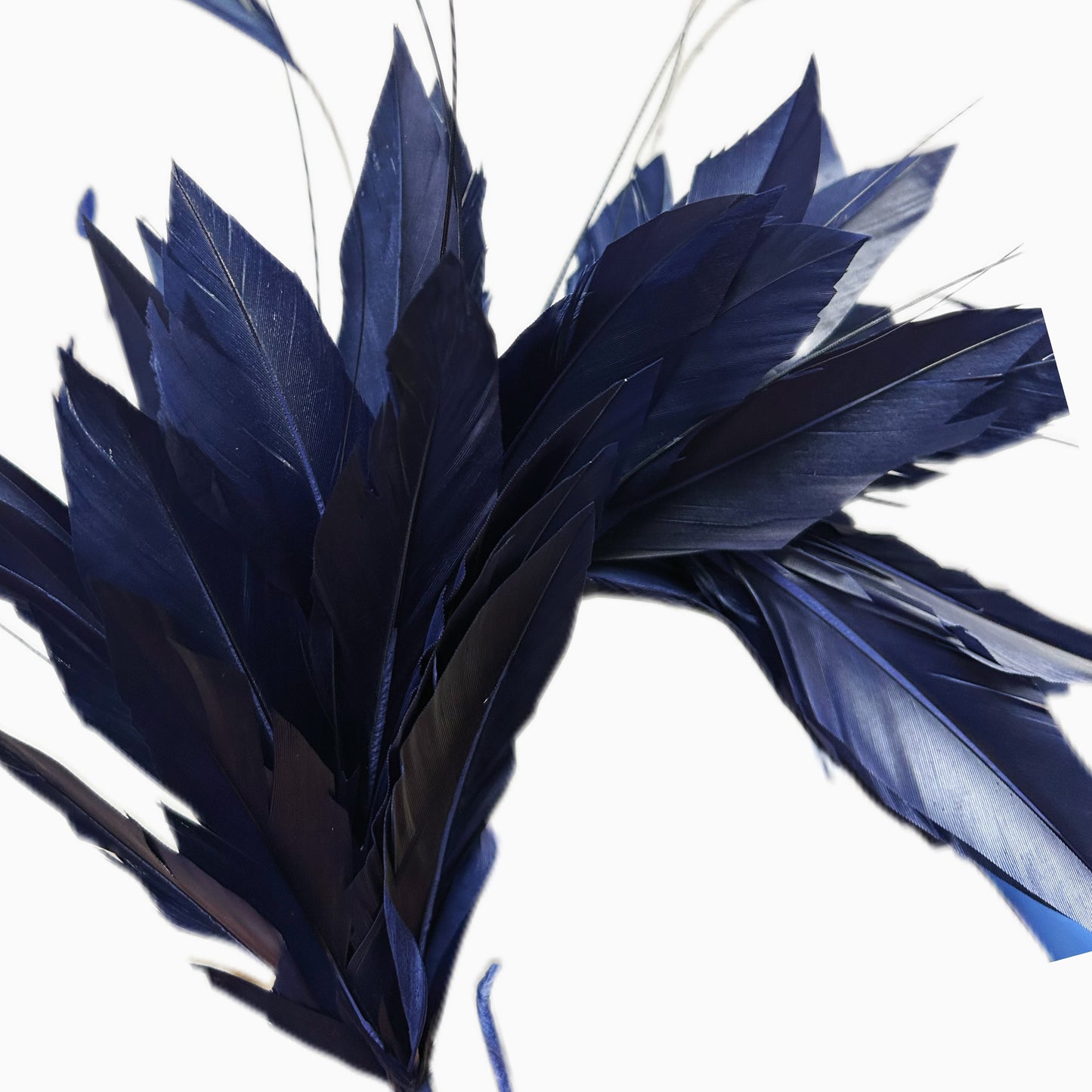 Goose and Coque Feather Mount FM304