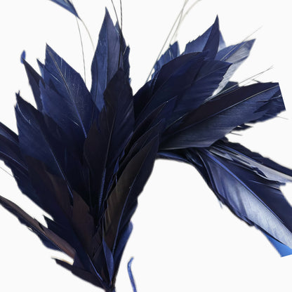 Goose and Coque Feather Mount FM304