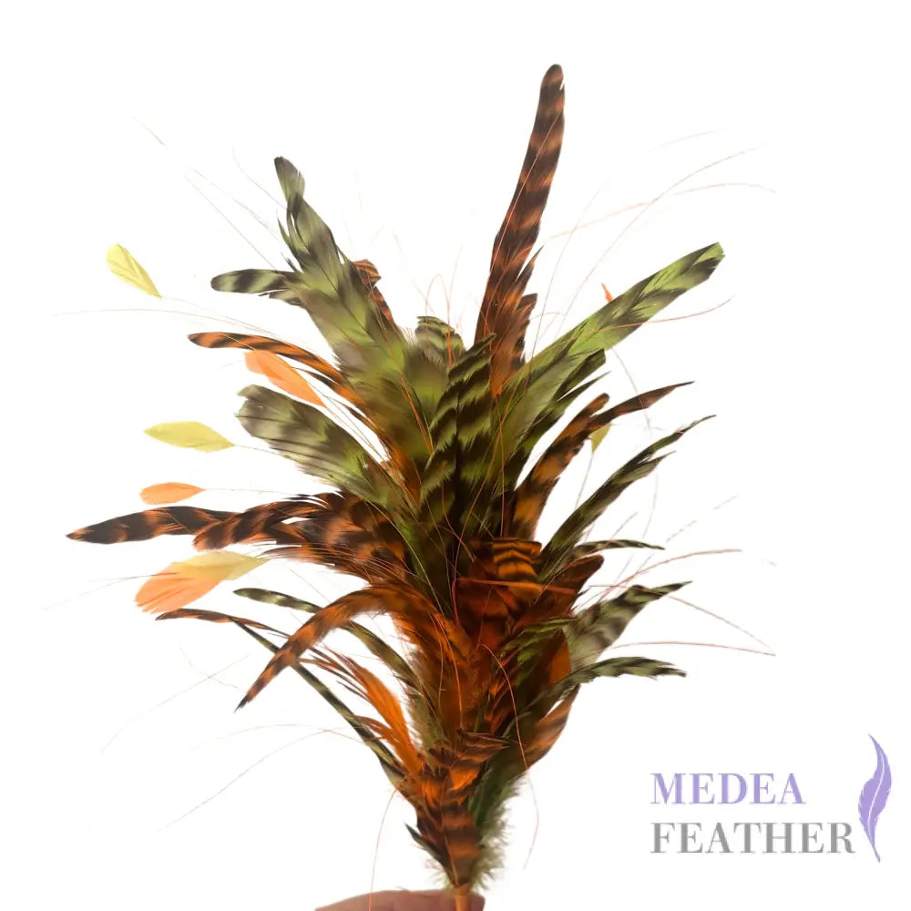 Chinchilla Coque Feather Mount DS260822 - Custom - Please add text below