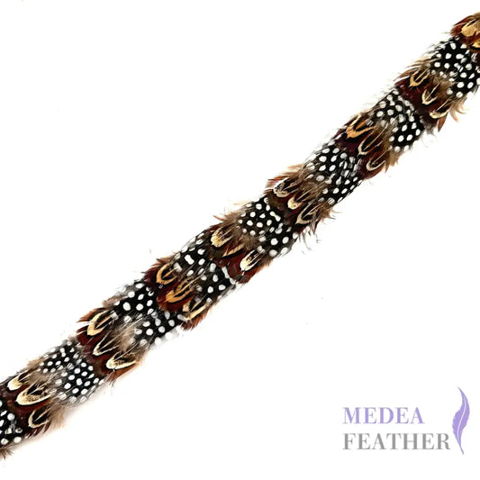 Country Style Feather Hat Band FHB3