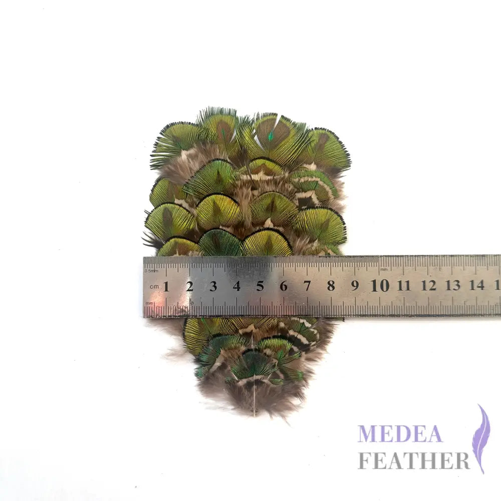 Country Style Natural Green Gold Iridescent Peacock Feather Pad FP03