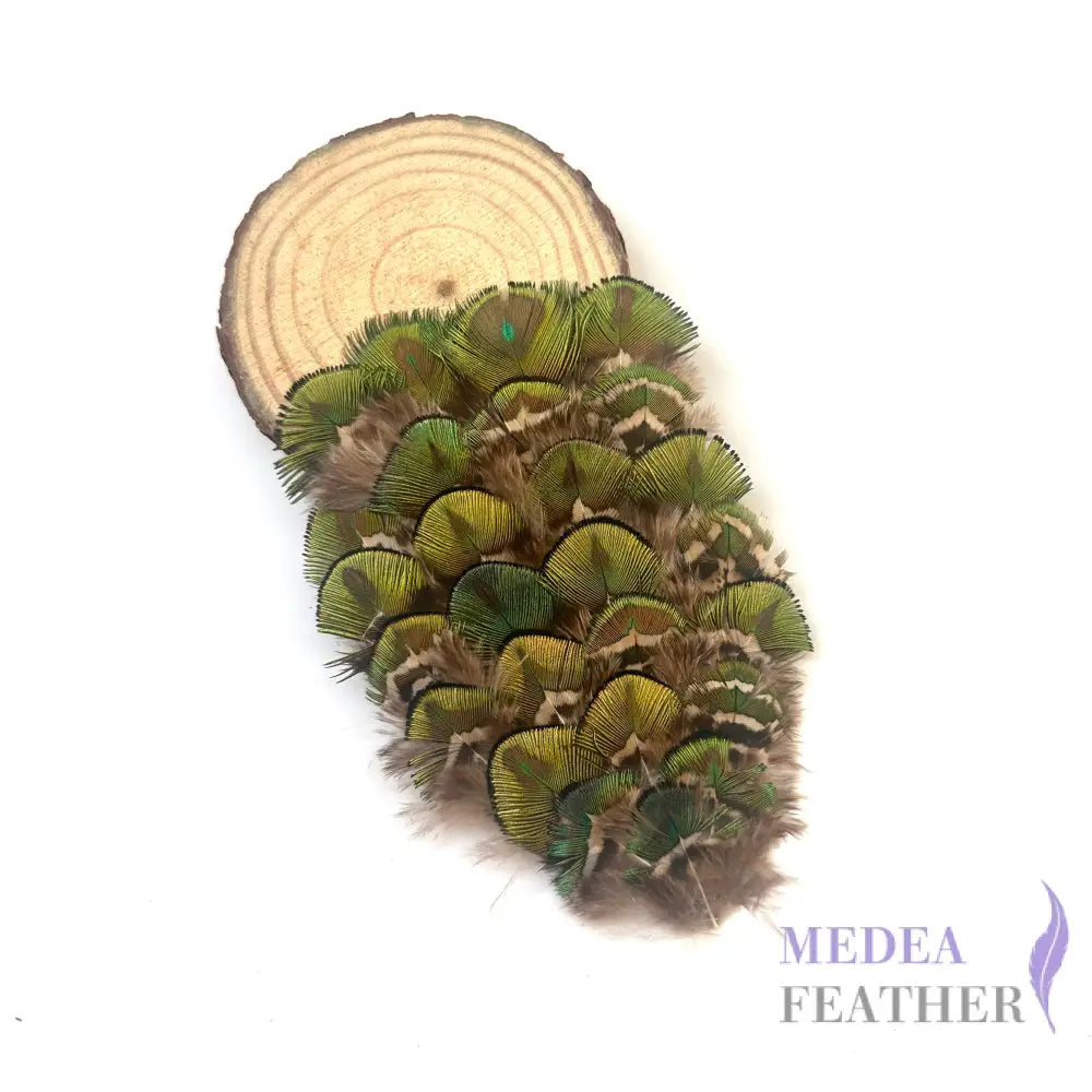 Country Style Natural Green Gold Iridescent Peacock Feather Pad FP03