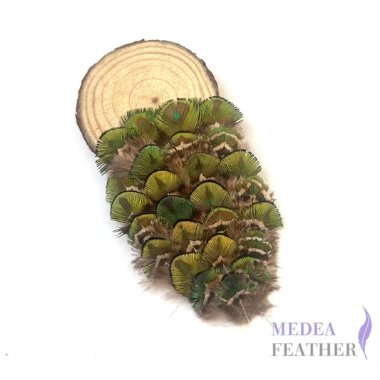 Country Style Natural Green Gold Iridescent Peacock Feather Pad FP03
