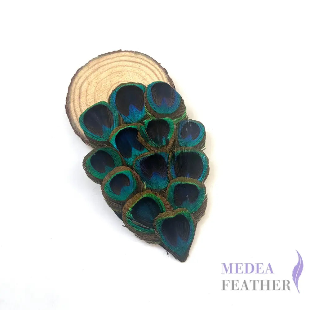 Country Style Natural Peacock Eye Feather Pad FP02