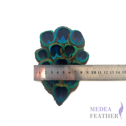 Country Style Natural Peacock Eye Feather Pad FP02