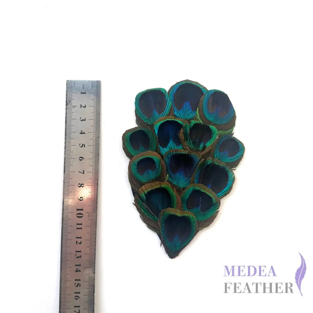 Country Style Natural Peacock Eye Feather Pad FP02