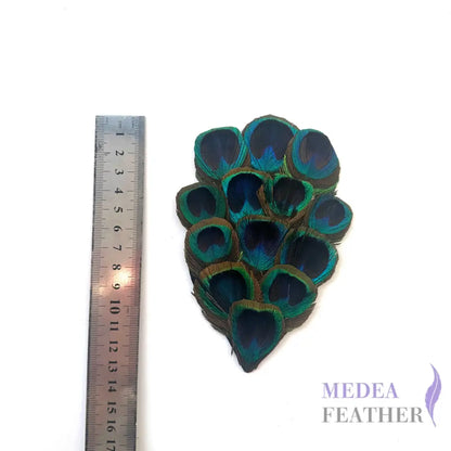 Country Style Natural Peacock Eye Feather Pad FP02