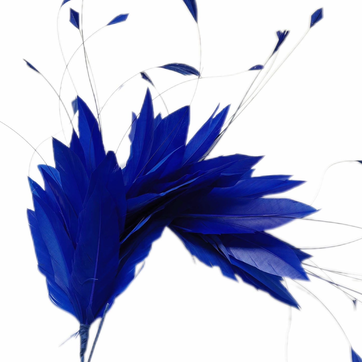 Goose and Coque Feather Mount FM304